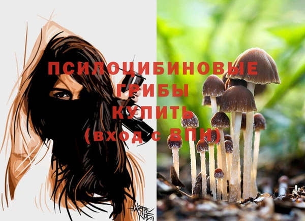 спайс Абаза