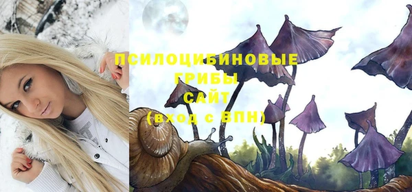 спайс Абаза