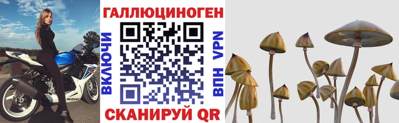 Галлюциногенные грибы Psilocybine cubensis купить Яранск